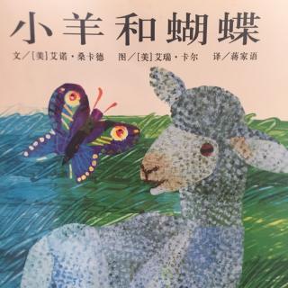 【绘本故事107】--《小羊和蝴蝶》