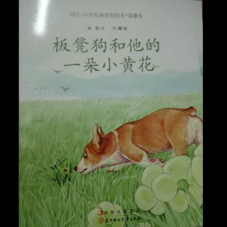 板凳狗和他的一朵小黄花