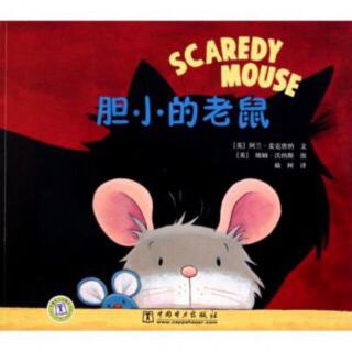 346.胆小的老鼠🐭🐱