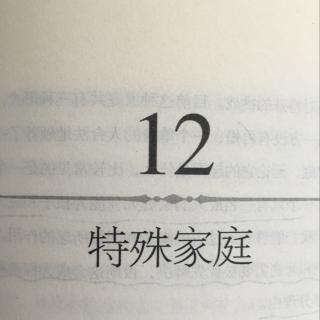 12-1 特殊家庭