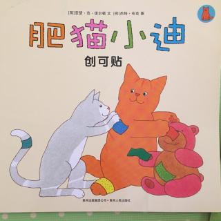 肥猫小迪-创可贴