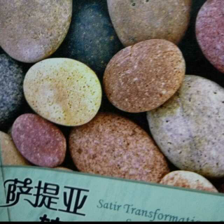 治疗实践中的转化a