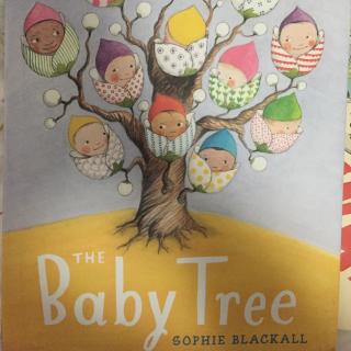 the baby tree