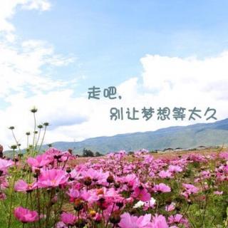 【笑雷读诗】西藏的格桑花（组诗）《随风而逝》花坟