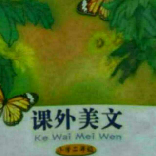 课外美文～丁一小写字