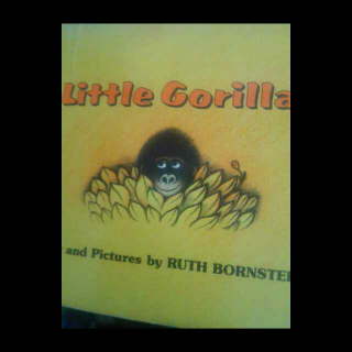 little Gorilla