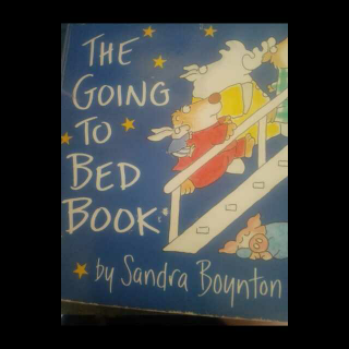 The going to bed book