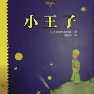 《小王子》11—12