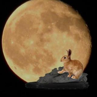 【有声故事31】只能向月亮许一个愿望