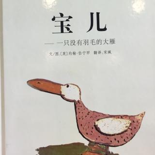 宝儿～一只没有羽毛的大雁