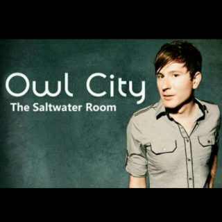 The Saltwater Room