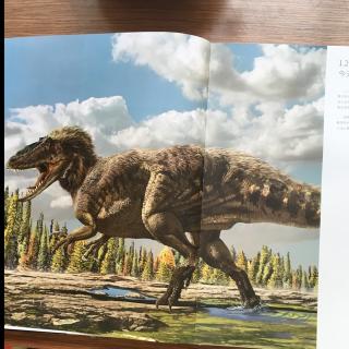 中国暴龙20160727