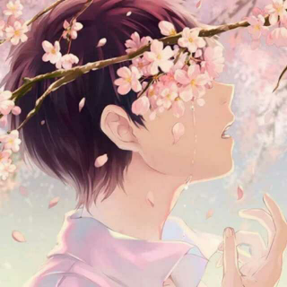 花未眠