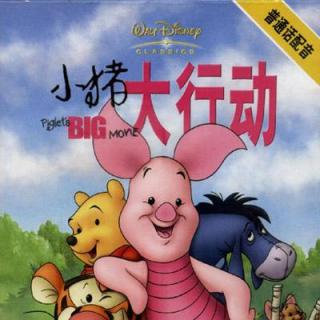 268：小猪大行动—小猪的温馨画册