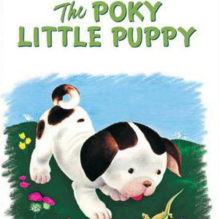 20160727-the poky little puppy