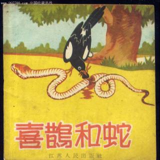 第288期-喜鹊和蛇