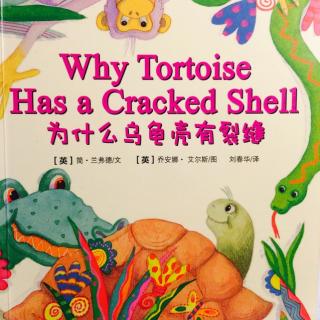 Why Tortoise Has a Cracked Shell (为什么乌龟壳有裂缝)