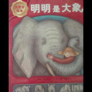 和宝宝一起读《明明是大象》