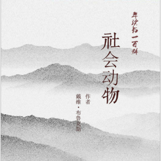 社会动物 第十三章 从工作伙伴到亲密爱人