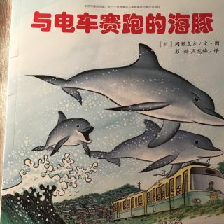 与电车赛跑的海豚🐬