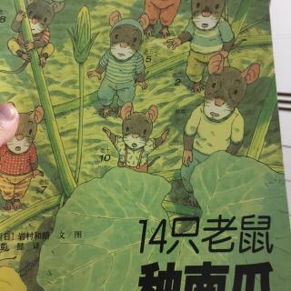 14只老鼠种南瓜