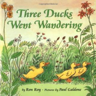 Three Ducks Went Wandering－游荡的三只鸭子