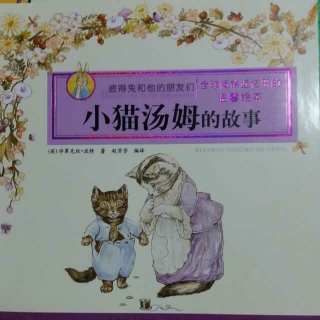 小猫汤姆的故事