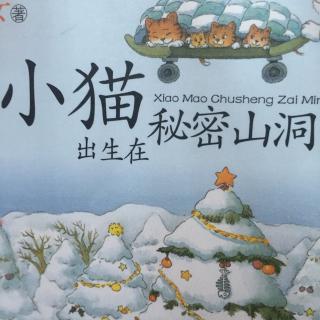 笑猫日记小猫出生在秘密山洞地下朋友