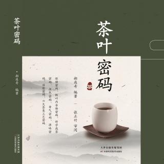 有声读物：《茶叶密码》第13集