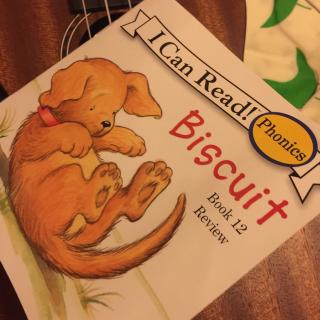 I can read 《Biscuit》