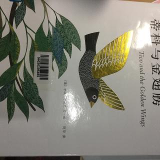 蒂科与金翅膀