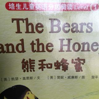 the bear and the honey