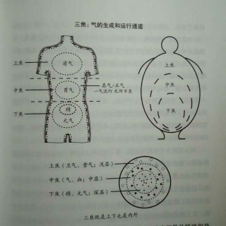 儿童健康讲记30-能量是精神和身体之间的桥梁