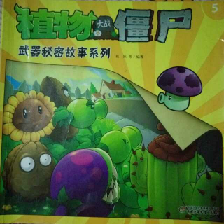 植物大战僵尸~天不怕，地不怕