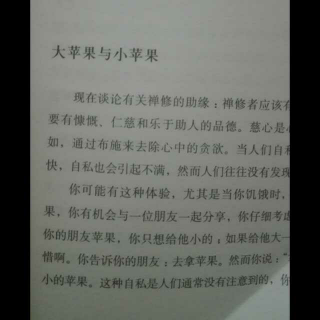 阿姜·查《这个世界的真相》大苹果与小苹果