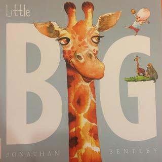 【澳大利亚插画家】—Little Big