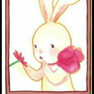 给兔小白的情书  爱不是食物，但它是世上最好的调味品
