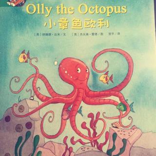 【听故事学英语】《Olly the Octopus章鱼欧利》