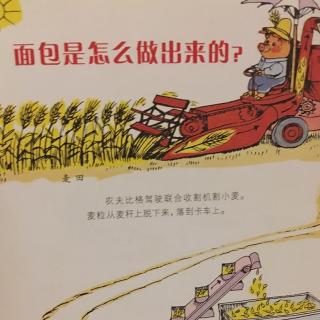 面包是怎么做出来的《忙忙碌碌镇》