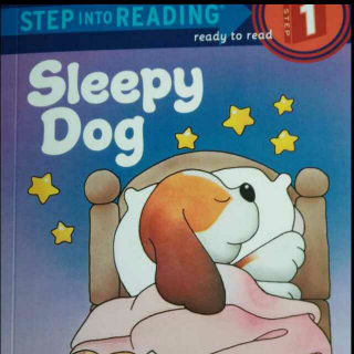 SIeepy Dog~the story