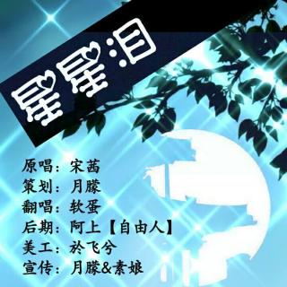 软蛋十二曲之《星星泪》