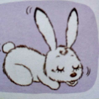 为什么兔子的耳朵特别长