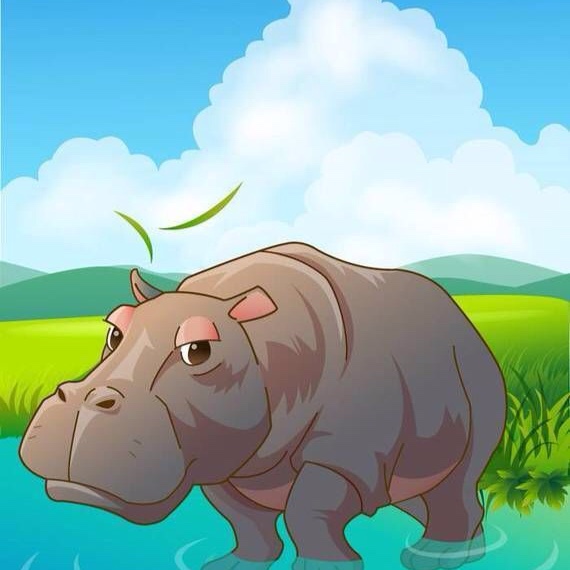 爱打呼噜的河马先生