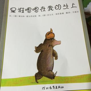 （2-3岁）中文绘本：是谁嗯嗯在我的头上