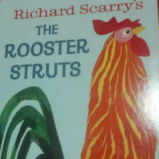 The rooster struts