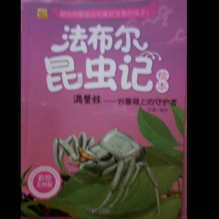 法布尔昆虫记～～～满蟹蛛+舍腰蜂
