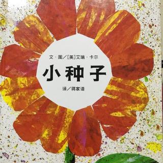 小种子～生命可贵，生生不息