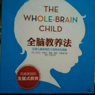 全脑教养法 全脑教养指南(帮助孩子整合自我与他人)