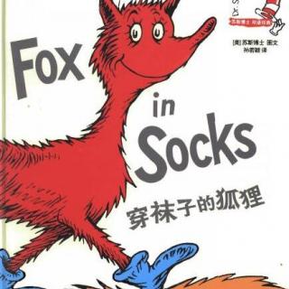 Fox  in Socks