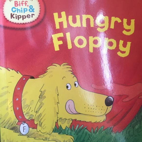 hungry floppy